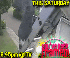 ybf! GIF by You've Been Framed!
