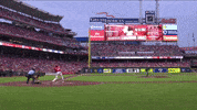 Home Run Sport GIF by MLB