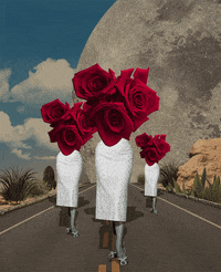art collage GIF by Isabel Chiara