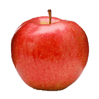 Apple Pie Apples Sticker