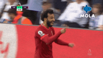 Happy Premier League GIF by MolaTV