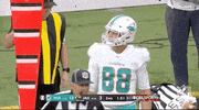 Miami Dolphins Football GIF by NFL