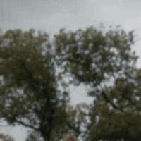 Dominos Avoid GIF by Domino's Pizza