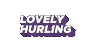 bord gais hurling Sticker by Bord Gáis Energy