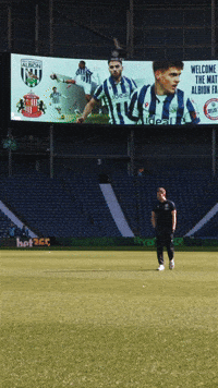 West Brom Championship GIF by West Bromwich Albion