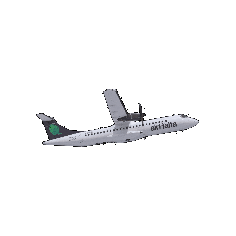 airhaifa giphygifmaker air haifa airhaifa Sticker