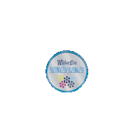 WinterKids winter games winterkids Sticker