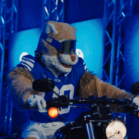 Byu Football GIF by BYU Cougars