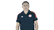 Vamointer Diadeinter Sticker by Sport Club Internacional