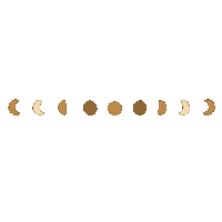 Zodiac Sign Moon Sticker