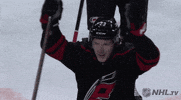 celebrate ice hockey GIF by NHL