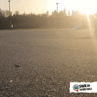 Fun Summer GIF by SWR Kindernetz