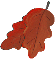 Laboiteatracer autumn leaves automne feuilles Sticker