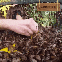 Caitlyn Jenner Iac GIF by STV