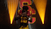 Football Sc GIF by USC Trojans