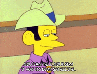 Season 1 GIF by The Simpsons