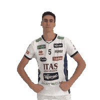 Volleyball Sticker by Trentino Volley