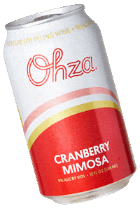 ohzamimosas celebrate orange peach mango Sticker