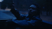Forest There He Go GIF by broke
