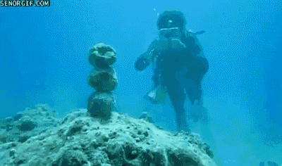 water win GIF by Cheezburger