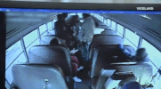 lastchancehigh viceland last chance high GIF