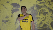 Black And Yellow Wolf GIF by New Mexico United