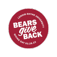 Lenoir Rhyne Hickory Sticker by Lenoir-Rhyne University
