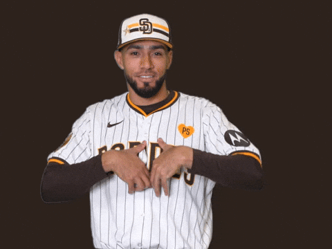 San Diego Padres Sport GIF by MLB