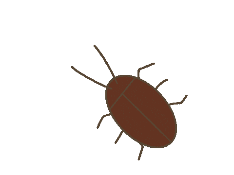 G Insect Sticker