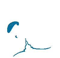StraussFinancial berge versicherung paragliding fliegen Sticker
