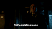 mad city fox GIF by Gotham