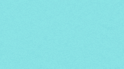 Fitness Health GIF by RENPHO