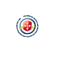 Nilton Lins Sticker by Universidade Nilton Lins
