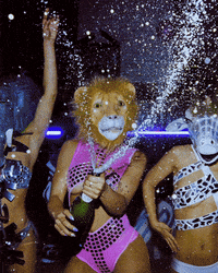 party lion GIF