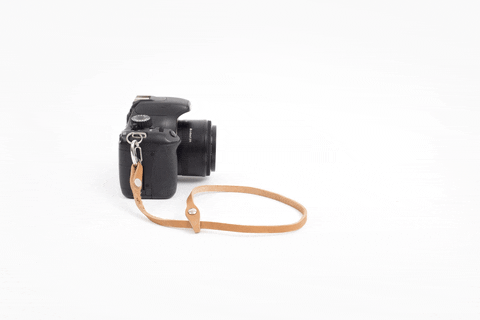 design photography GIF by Photojojo