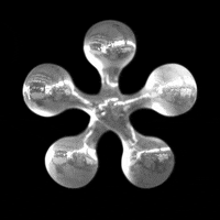 Black And White Art GIF by xponentialdesign