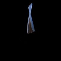 3d phone GIF by SDRNSDRN