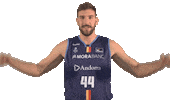 Liga Endesa Basketball Sticker by ACB