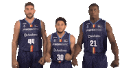 Liga Endesa Basketball Sticker by ACB