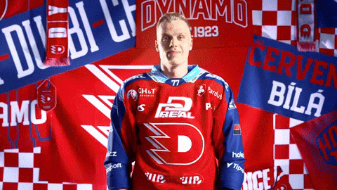 Michal GIF by HC Dynamo Pardubice