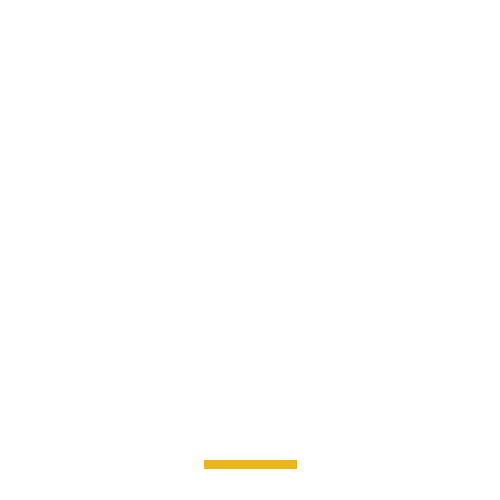 lionsclubs giphyupload lions diabetes type 2 diabetes Sticker