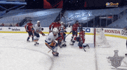 Ice Hockey Sport GIF by NHL