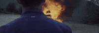 big cat GIF by Domino Recording Co.