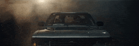 big cat GIF by Domino Recording Co.