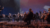 GIF by Augustana University