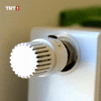 Water Winter GIF by TRT