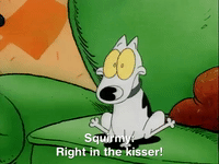 rockos modern life nicksplat GIF