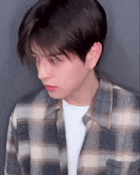 Skz Straykids GIF
