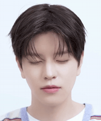 Stray Kids Skz GIF