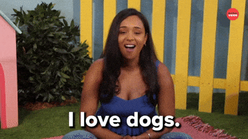 I love dogs